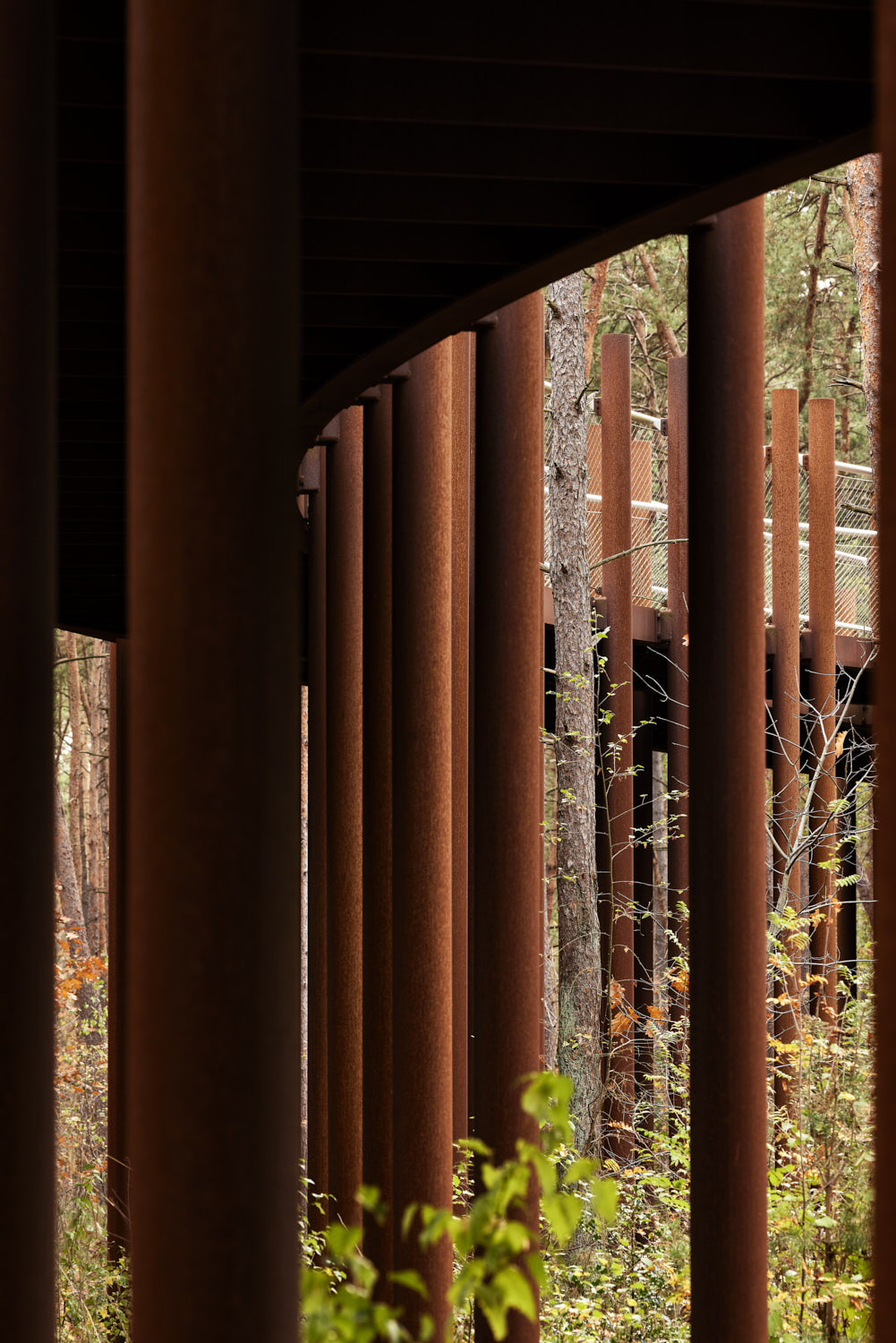 在树林中骑行丨Visit Limburg-19