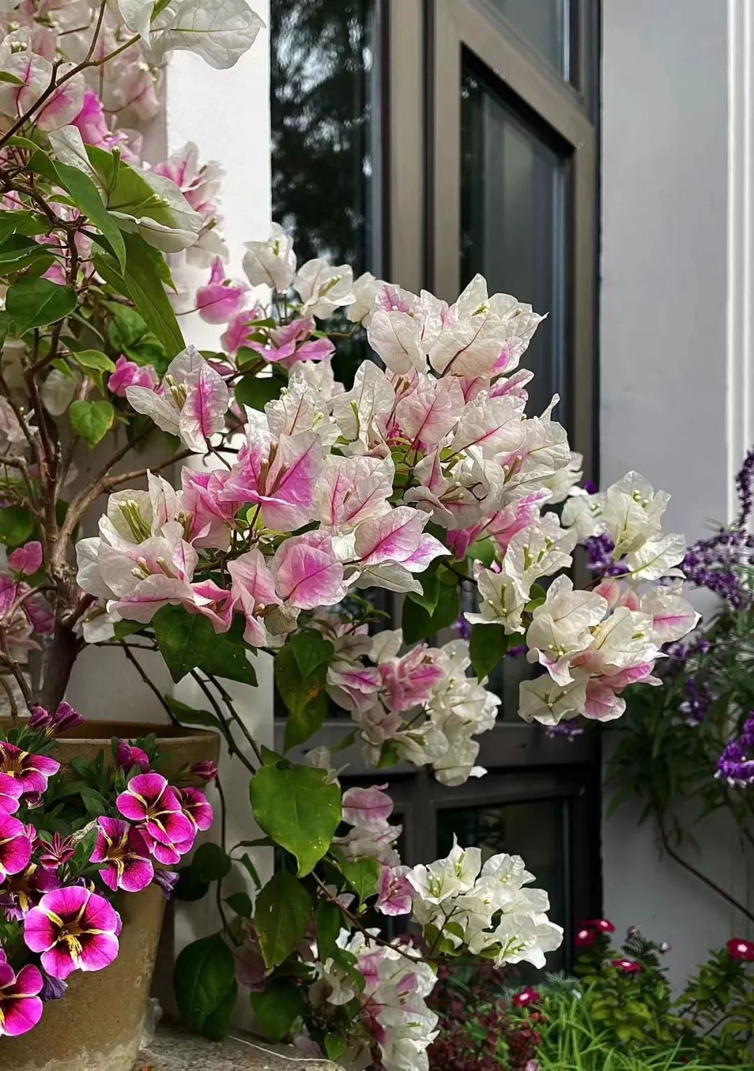 一米花园丨中国上海丨专业设计团队-59