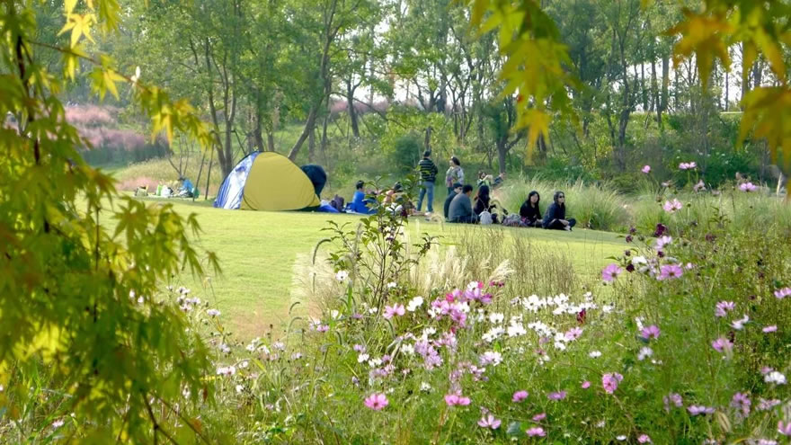 新加坡·南京生态科技岛滨江风光带（大江侧）示范区景观设计项目-28