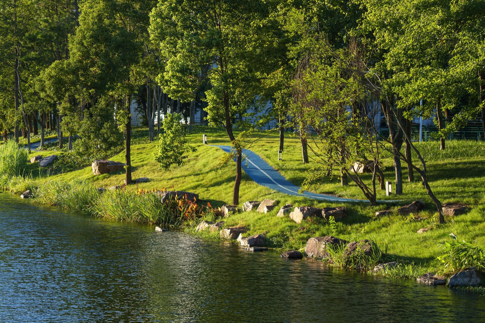 无锡菱湖大道沿线景观提升丨中国无锡丨MYP迈柏-111