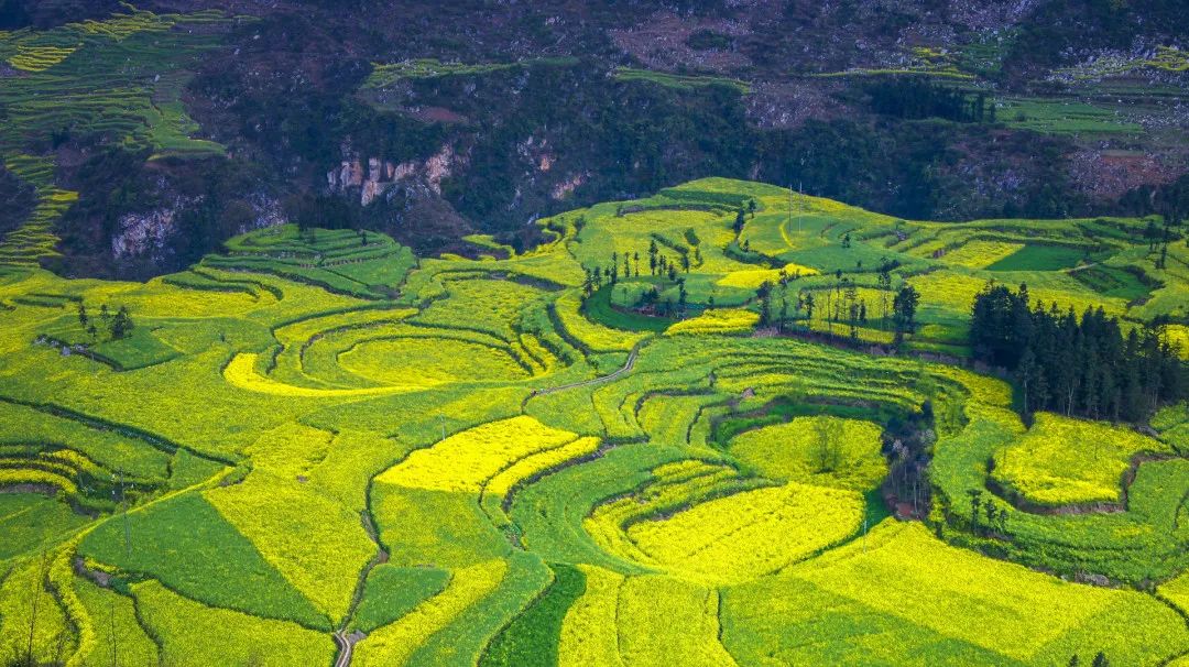 野奢秘境，探寻春日浪漫-8