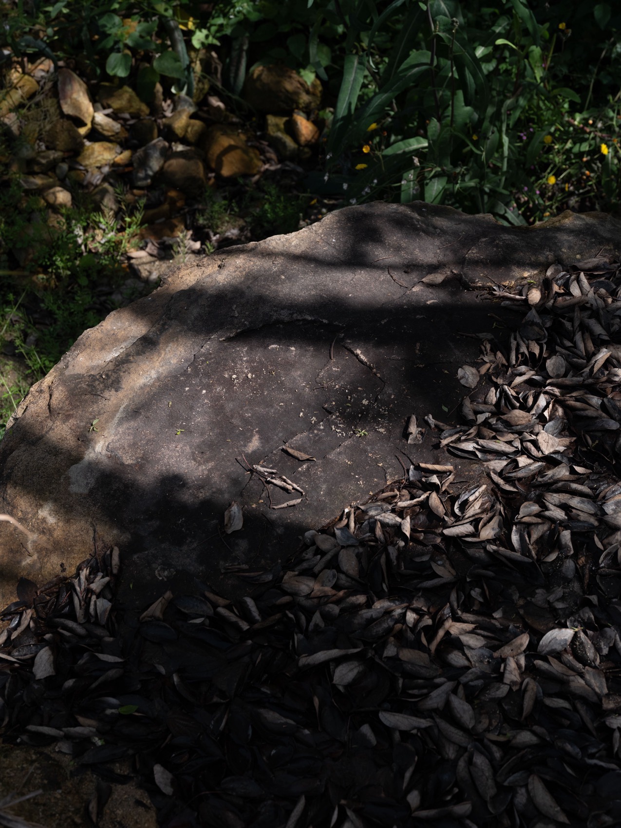 驯·烘焙（烟台山）丨中国福州丨退化建筑-67