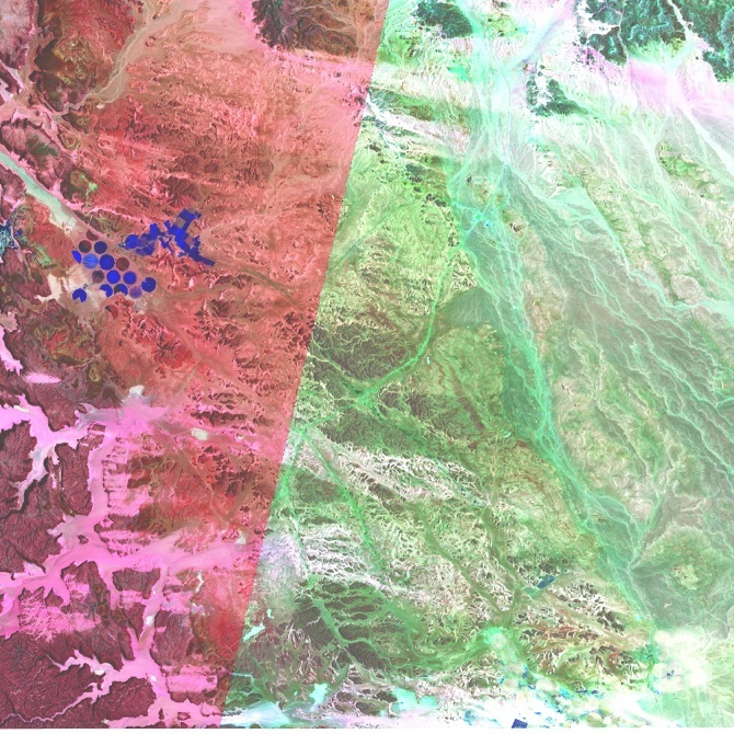 Blue Farmland可译为蓝色农田,但huaikuanchung不是一个常见的英文词汇或有公认含义的词语,不清楚其确切指的是什么,无法完成该部分的准确翻译 丨以色列-53