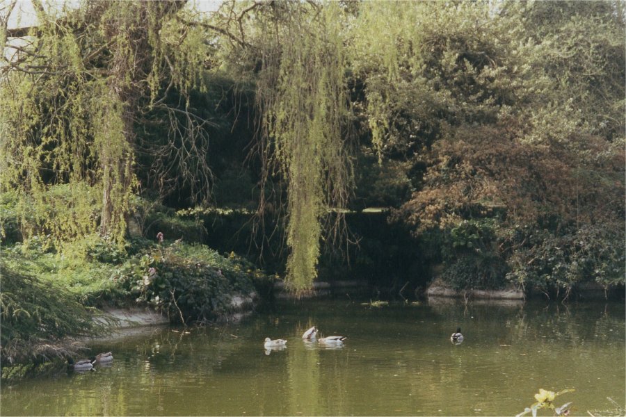 Westonbirt Manor花园及建筑改造项目丨英国格洛斯特-38