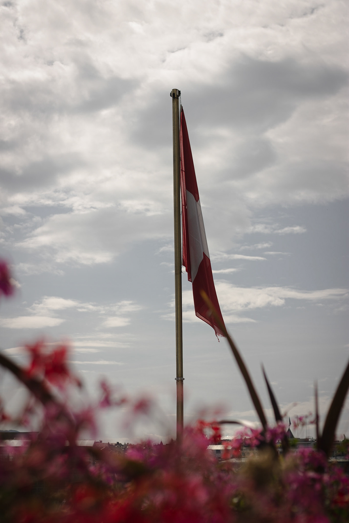 无言之美 · 日内瓦 19 号设计案例丨瑞士日内瓦-1