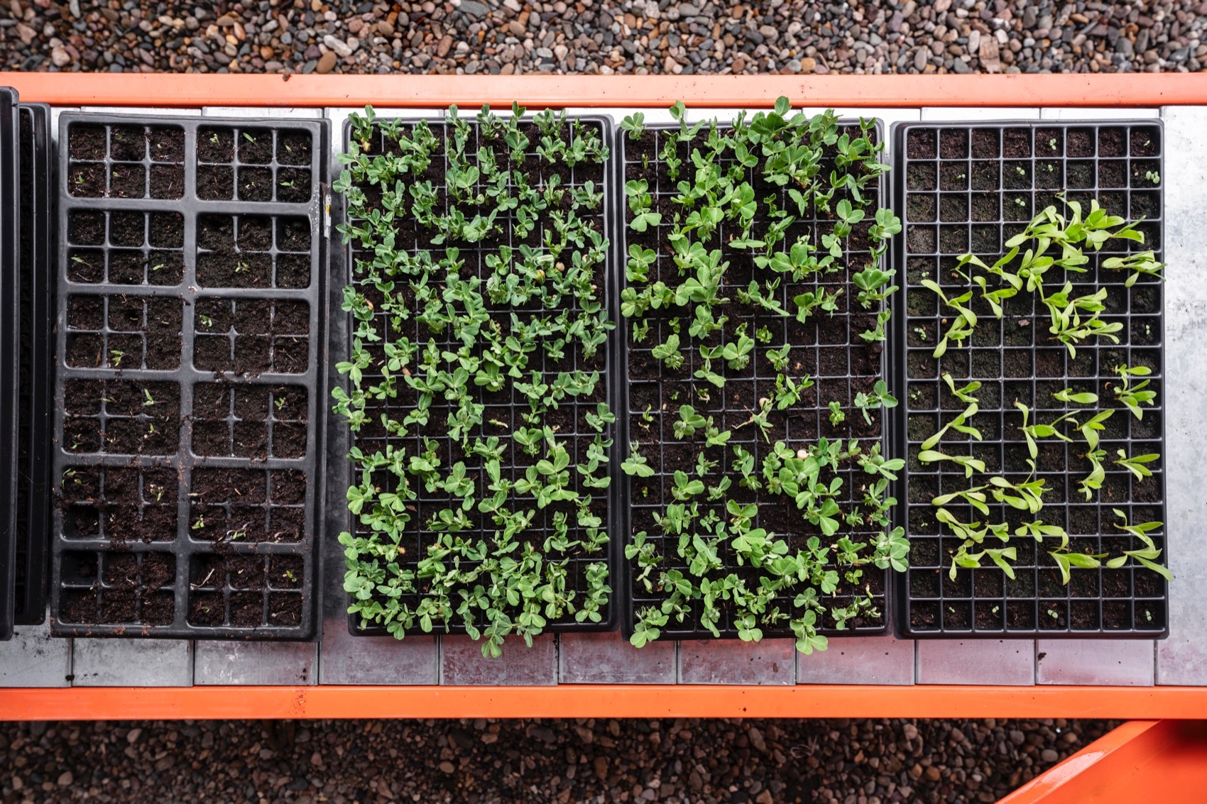 低技水培模块化建筑丨哥伦比亚-33