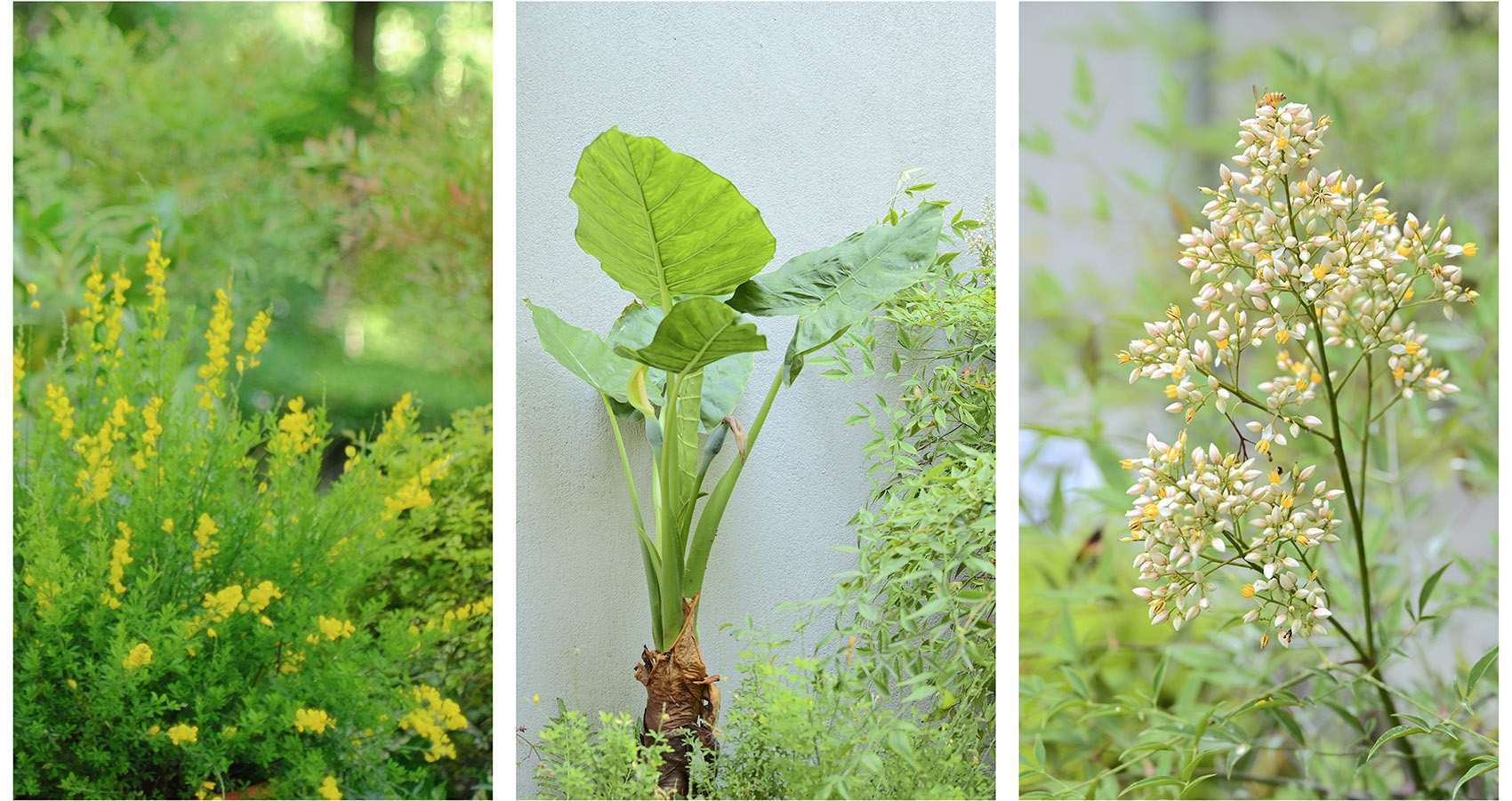 梅园咖啡屋丨中国上海丨Offhand Practice-33