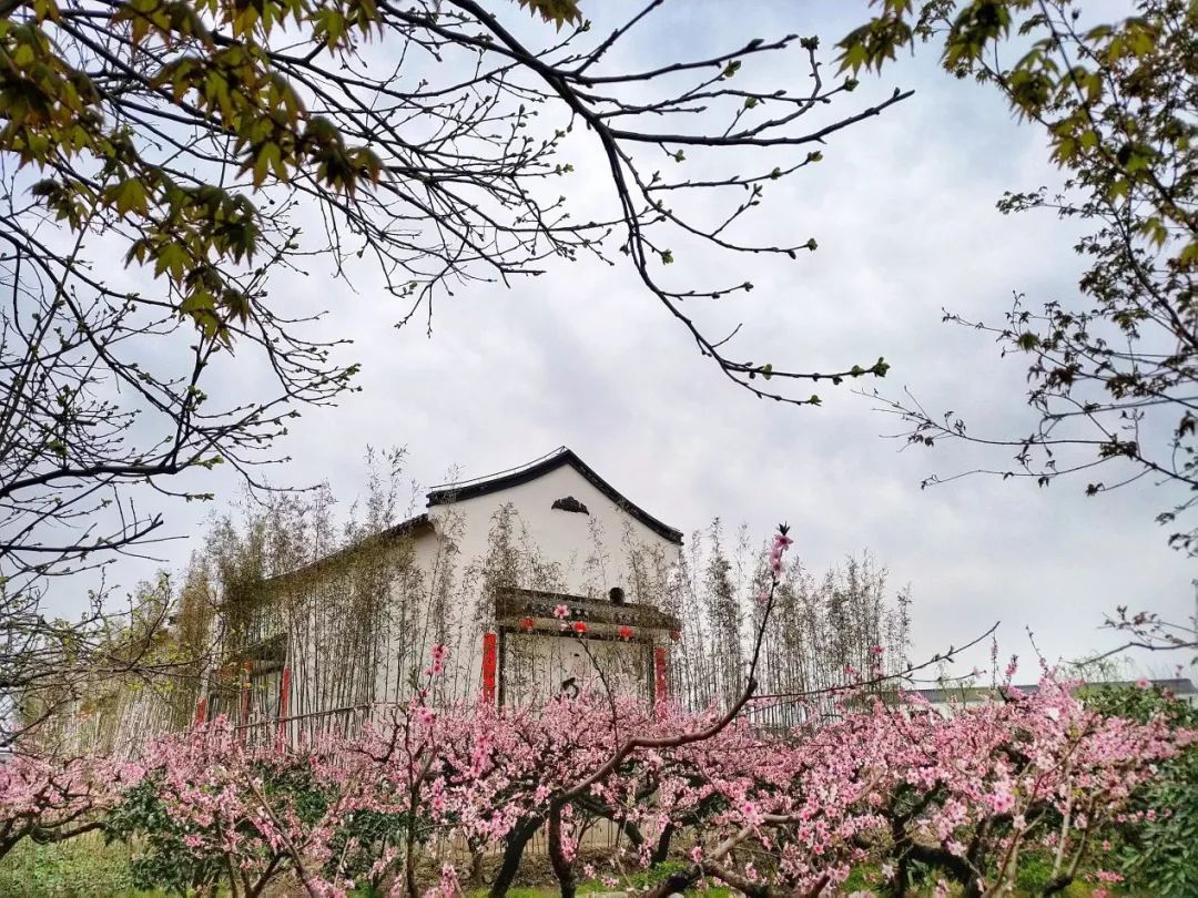 上海吴房村乡村振兴示范村整体规划,建筑,景观,风貌提升设计丨中国上海-178