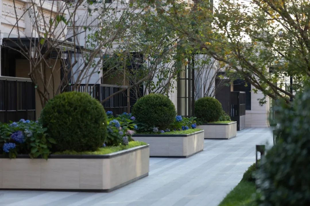 北京中海·望京府丨中国北京丨凯盛上景(北京)景观规划设计有限公司-63