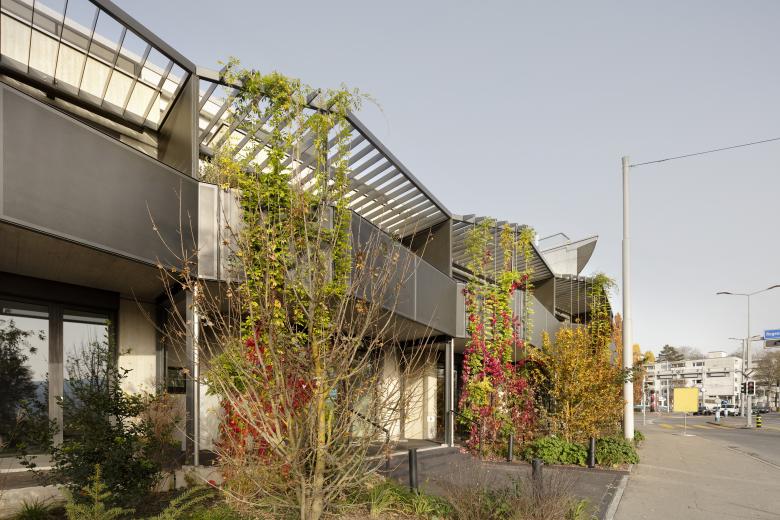 TK Architekten丨Erneuerung Wohn- und Geschäftshaus «Zum Bombach»丨瑞士-3