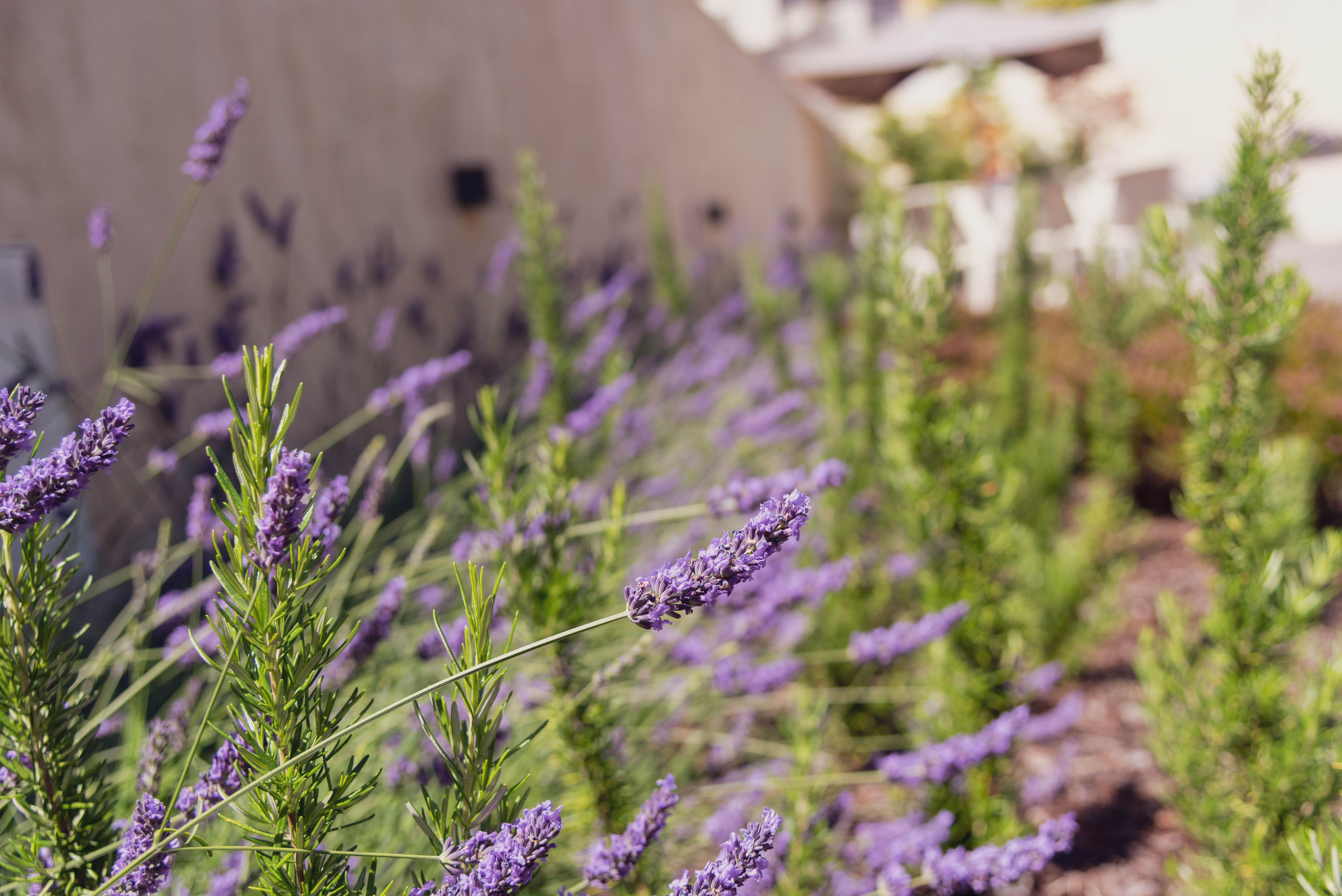 波尔图安塞尔莫公寓酒店丨葡萄牙波尔图丨Alexandra Azevedo-7