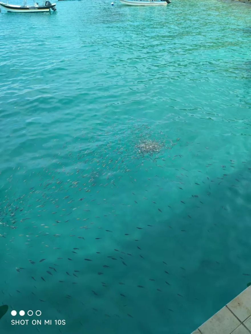 经验谈No.281|看工作党收割UCL/米理等offer!毕业后脱产申请,白天上班、晚上做作品集连斩名校offer!-63