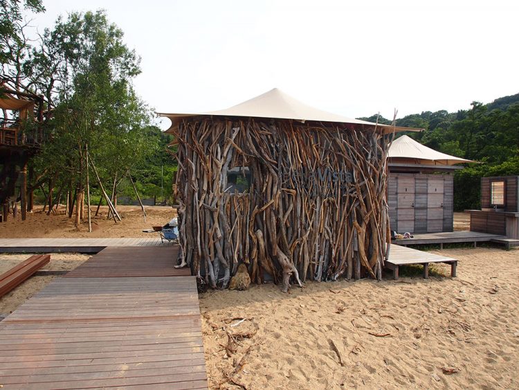 Tree terrace on uninhabited island-10