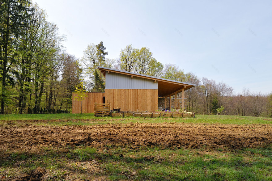 森林边缘的梦幻家园-11