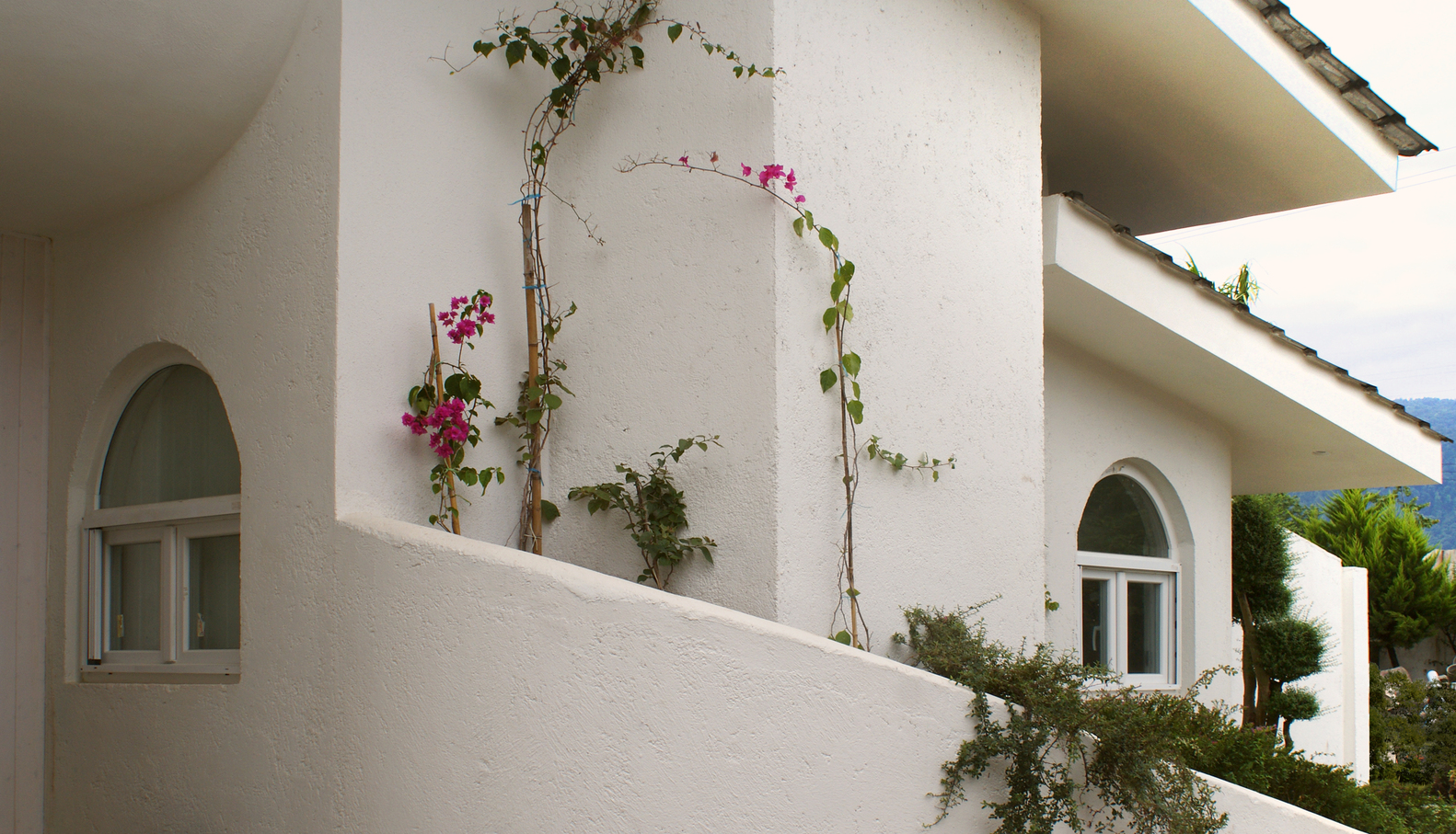 里海边的回忆与欲望·伊朗北部私人别墅重生-65