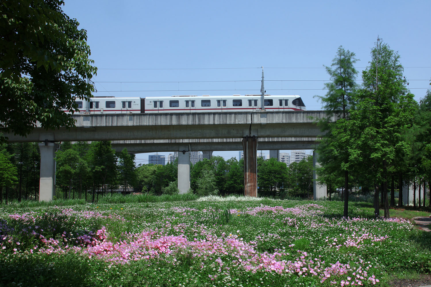 嘉定石冈门塘湿地公园-23