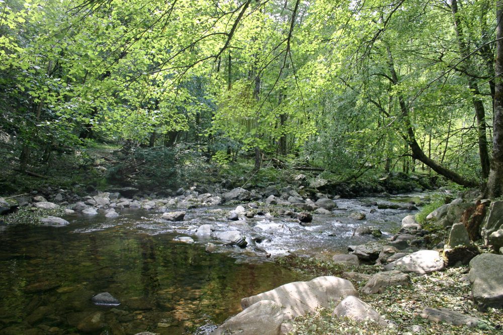 Flaujac  Espalion景观观察项目-47