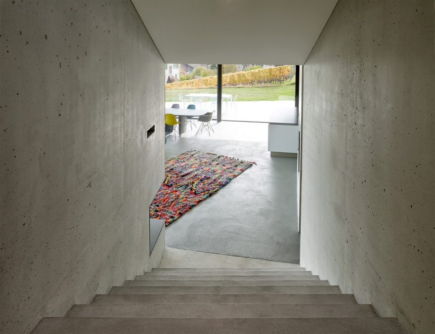 瑞士村庄中的悬浮美景——穆勒别墅-39