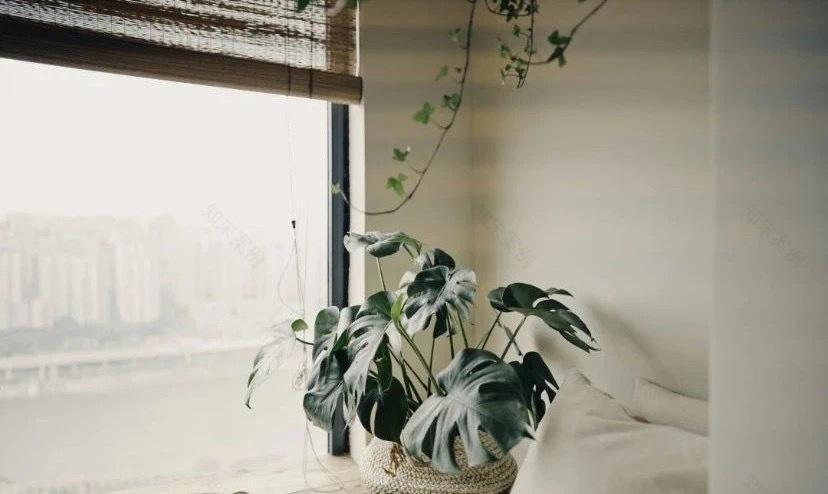 喵星人的温馨家园丨中国重庆丨不详-113