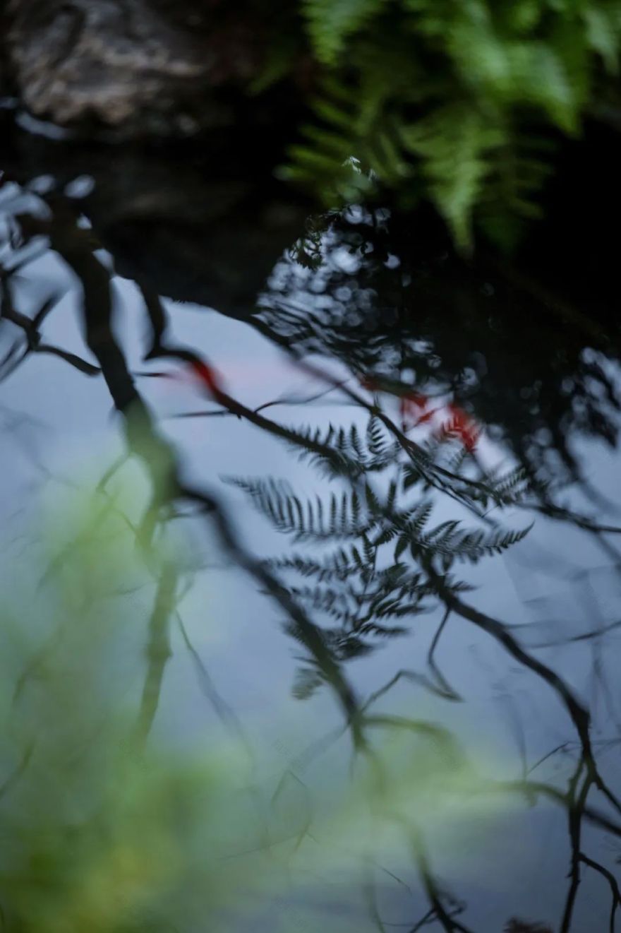 SRD X 金茂 · 金茂璞印金开样板间丨中国重庆丨SRD DESIGN 赛瑞迪普-21