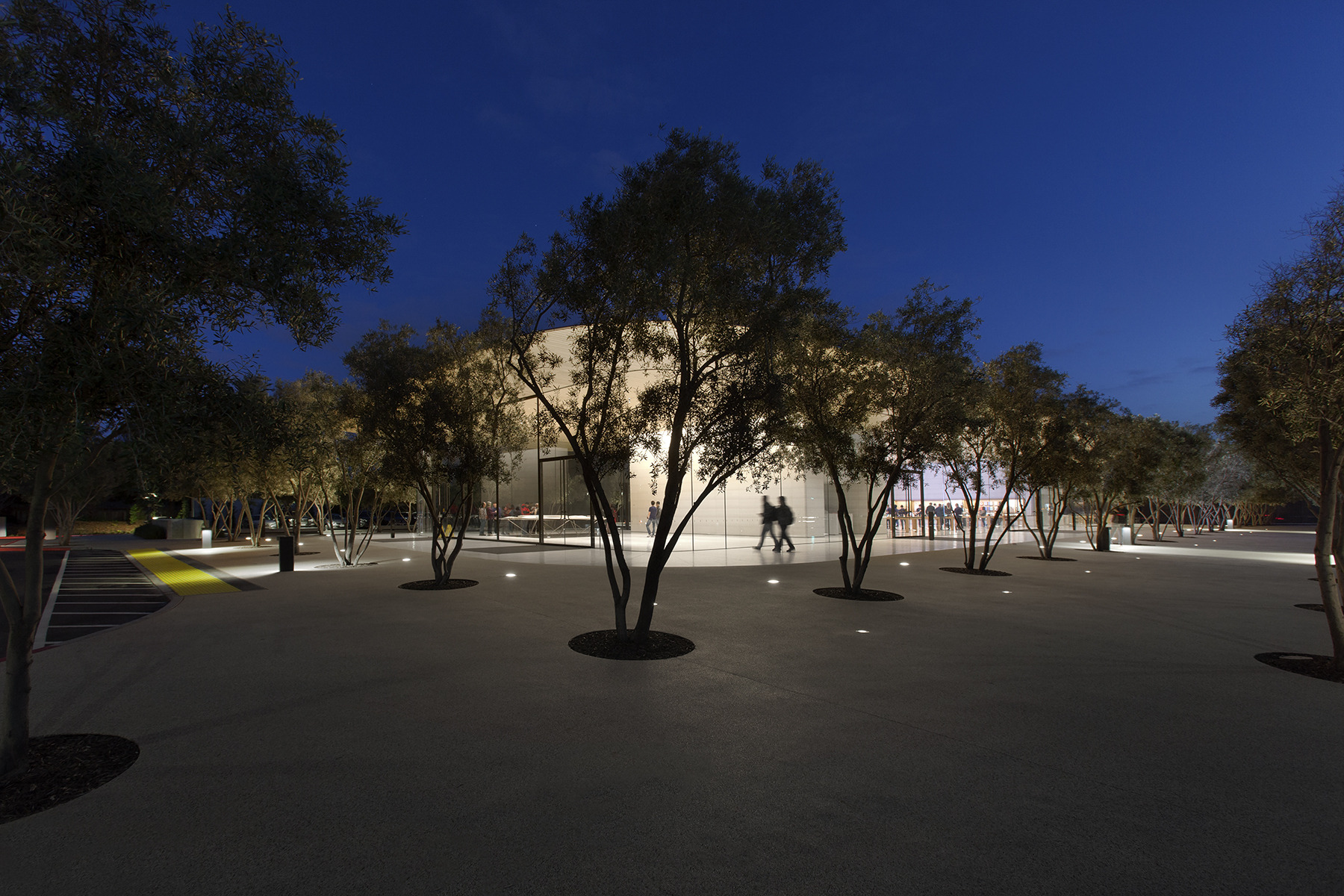 苹果公园游客中心-25