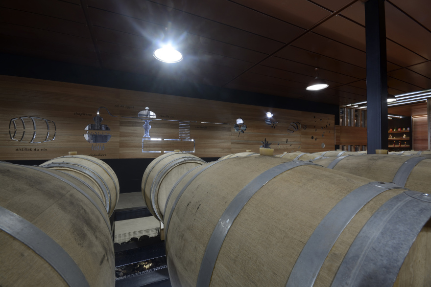 百年酒厂展览室与酒窖设计-8