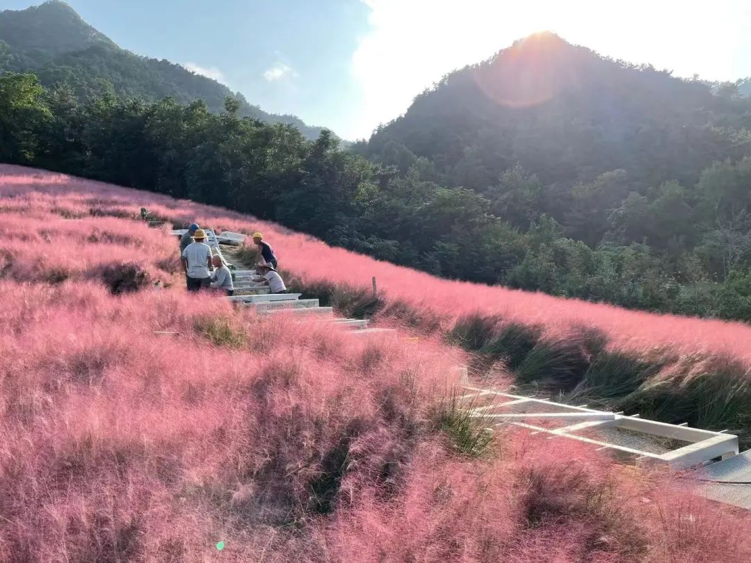 昆嵛山国家级自然保护区景观设计丨大小景观-6