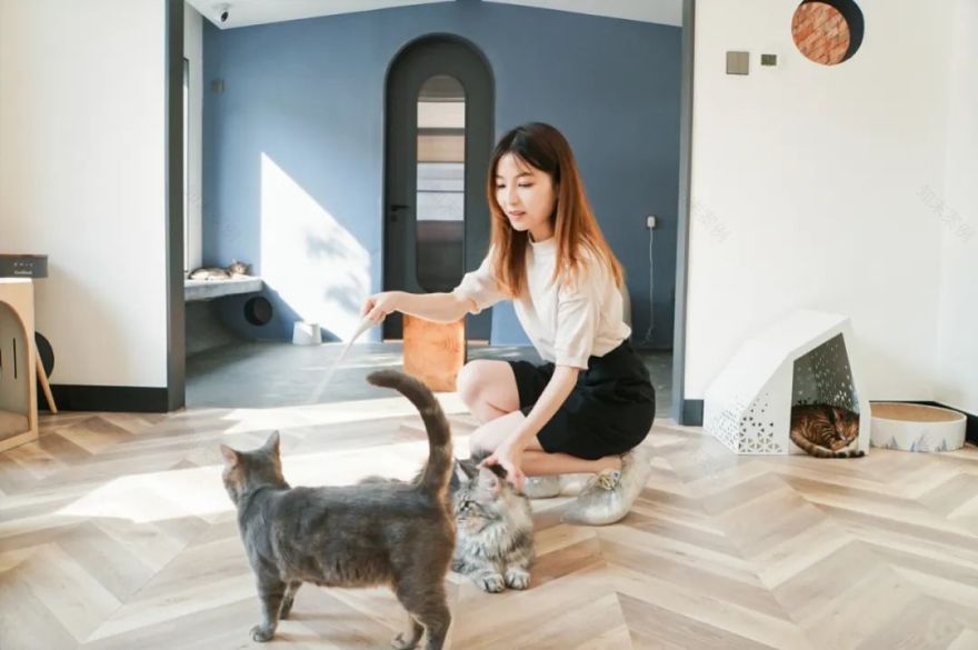 The PLS 请设计商店丨中国珠海丨匠一文化创意设计-31