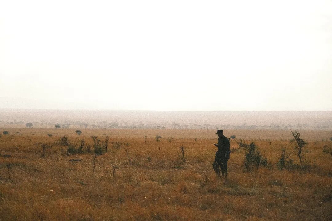 非洲考察1|初抵塞伦盖蒂-54