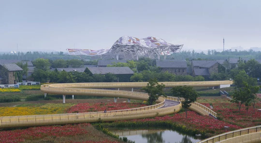 宿迁市三台山森林公园衲田花海剧场丨南京大学建筑规划设计研究院有限公司-0