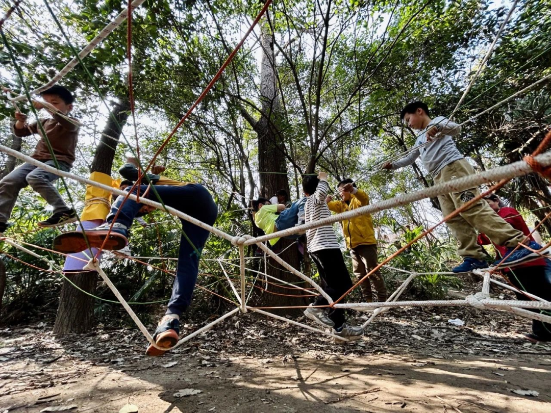 共写自然新故事｜番禺绿地参与式规划开放日暨自然体验活动报名啦-53