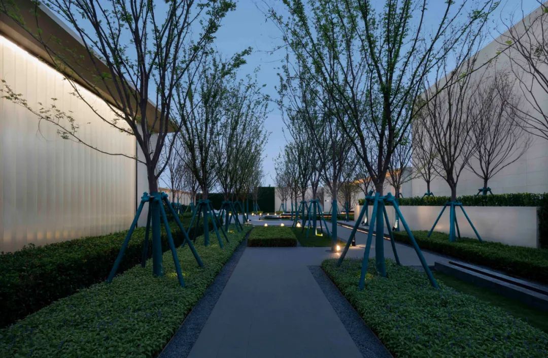 山东济宁金科集美澜湾 | 克制的序列,林泉入境-44