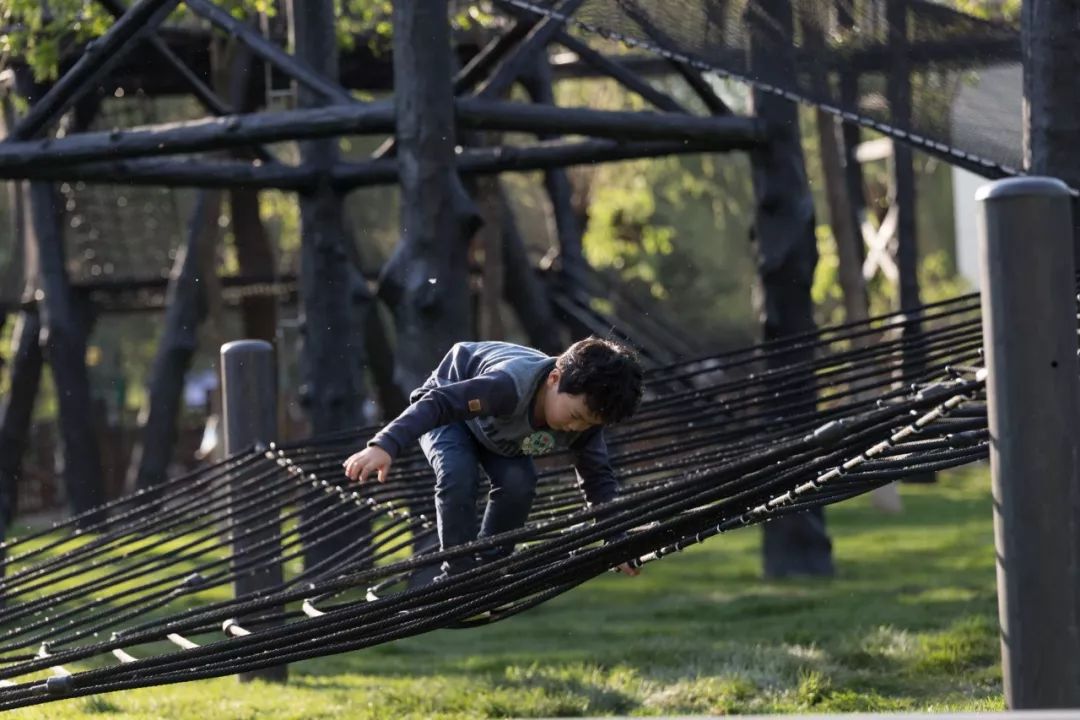 黑森林 | 儿童乐园的黑色艺术-84