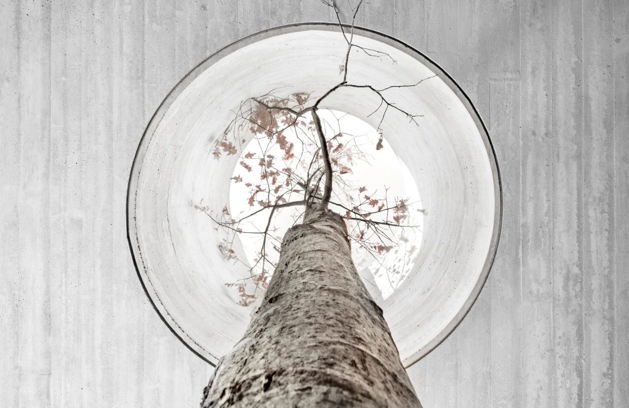 分裂之家丨意大利丨Bergmeisterwolf Architekten-22