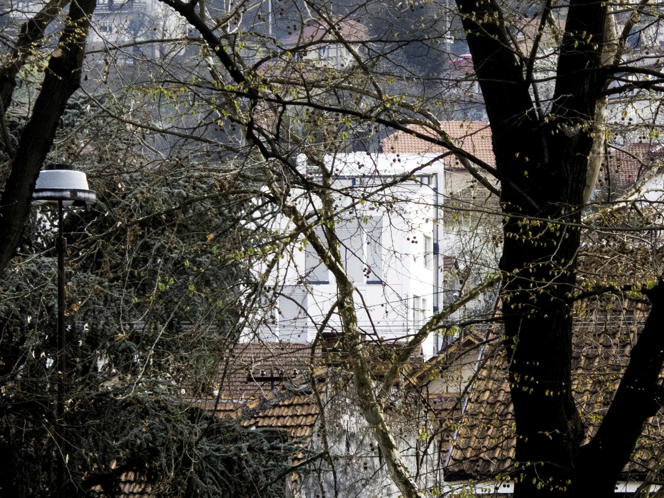 塞尔维亚语言文化中心-26