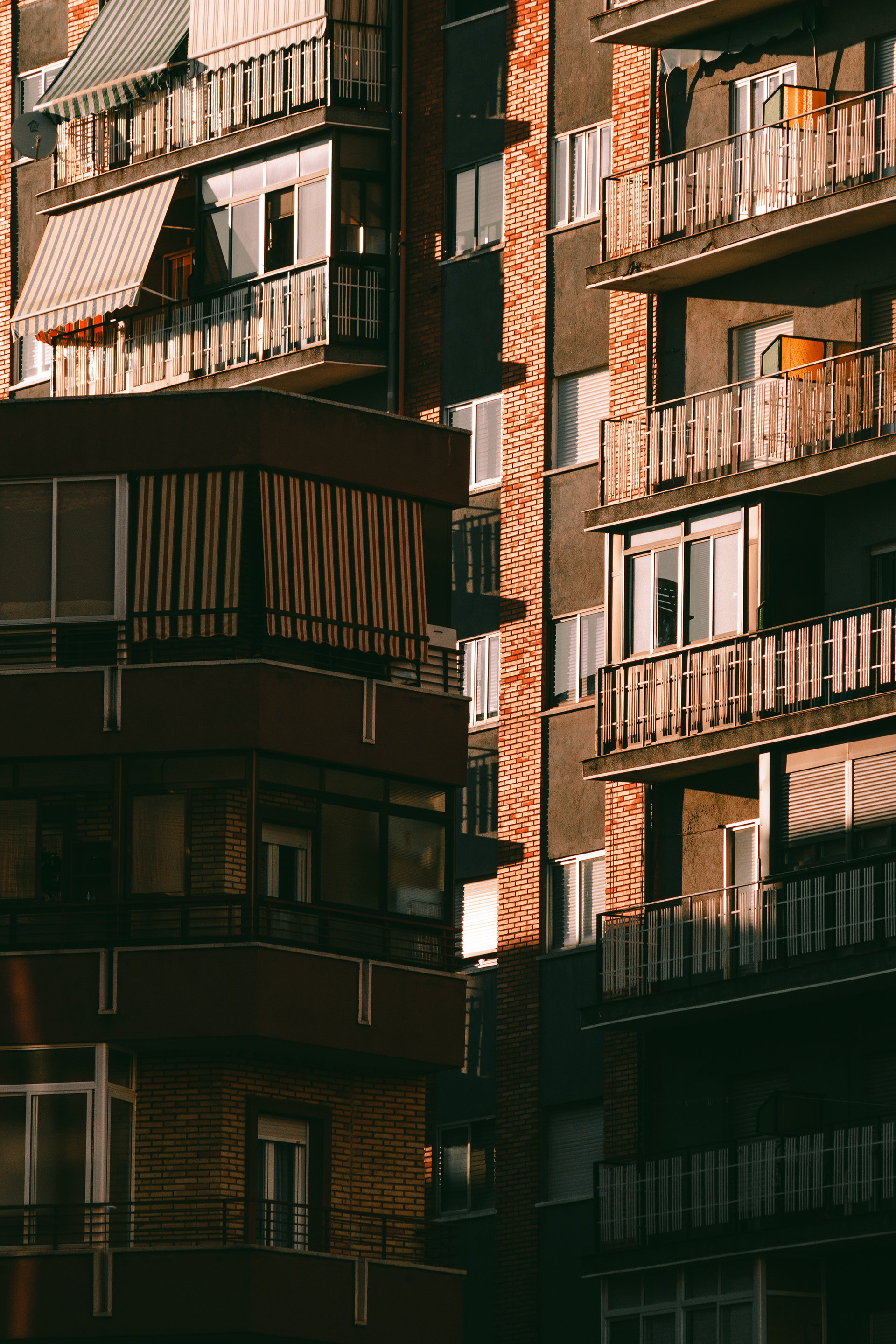 用 86 年的远摄镜头拍摄-2