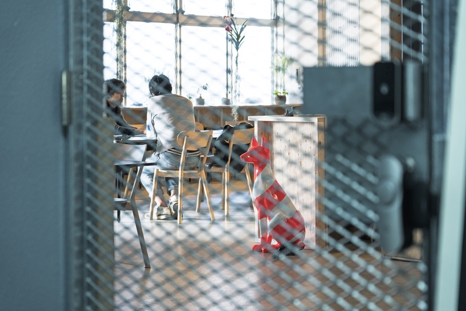 穆拉·切卡伊（切卡伊村）-29