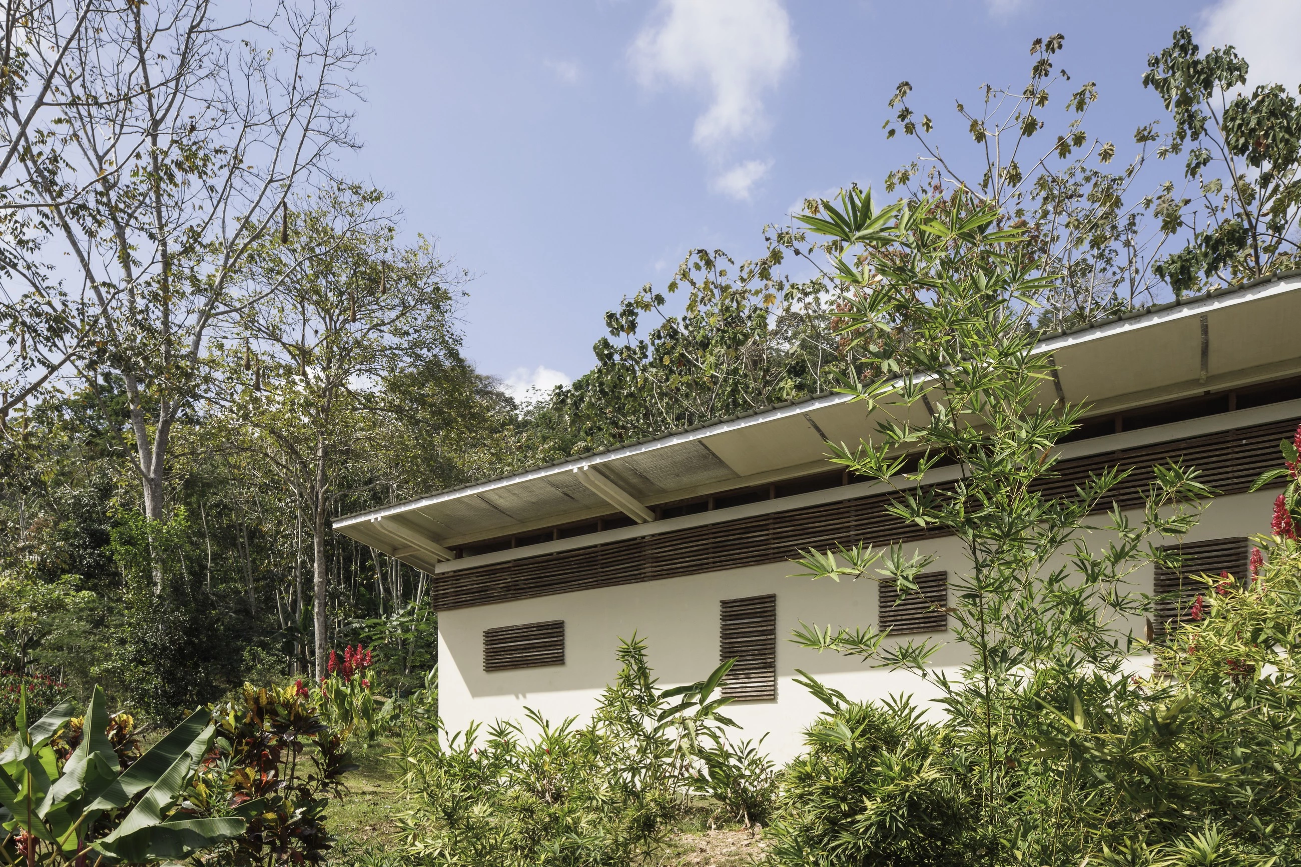 Canopy Camp Darién 生态酒店-28