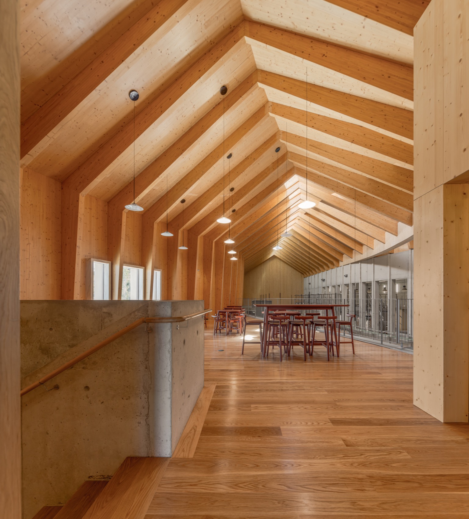 Quinta de Adorigo酒庄丨葡萄牙杜罗丨Atelier Sergio Rebelo等多家团队及个人-80