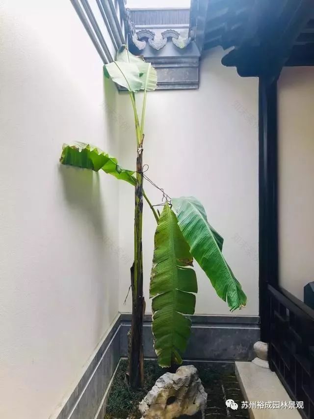 江南园林之美,西溪湿地之畔的中式别墅设计-26