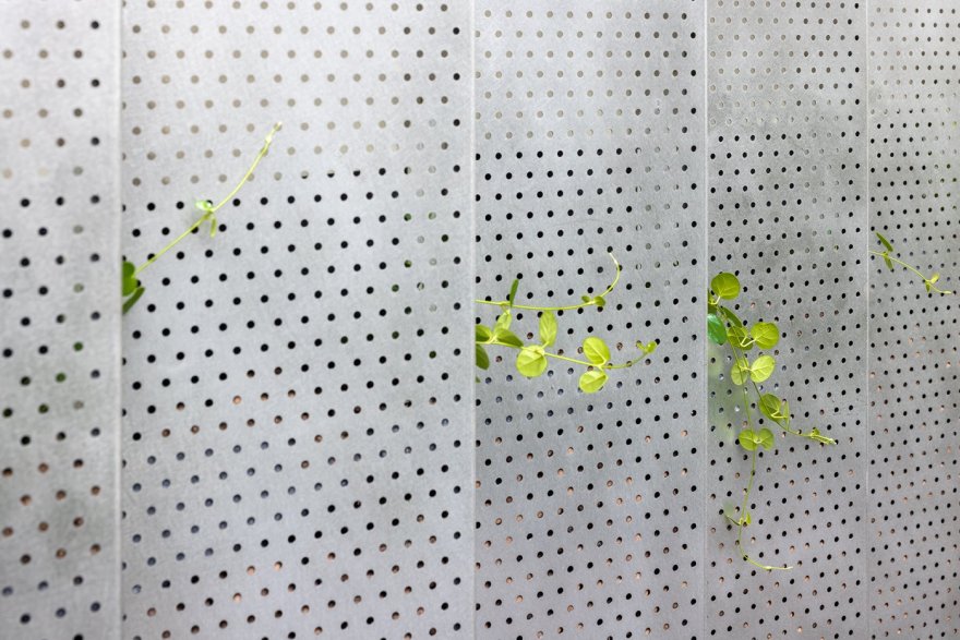 以金屬沖孔板演繹「融合與再現」的建築宣言:「COFFEE LAW 山物所」在日式庭園,映照百年町屋的歲月光澤和詩意 — Hey!Cheese-6