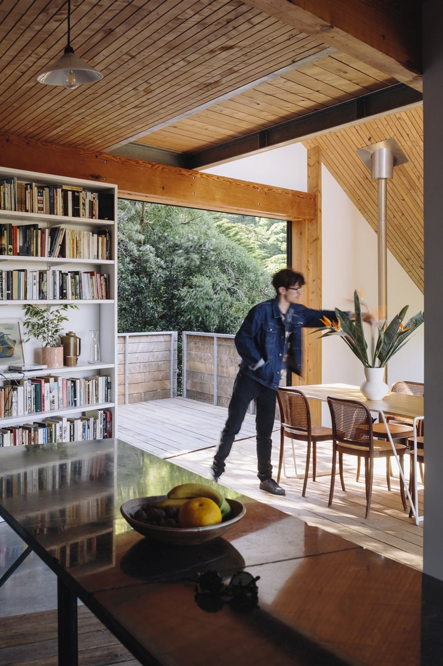 Stealth Bomber Nestled into a Bushy Hillside Site in Inner-City Wellington-14