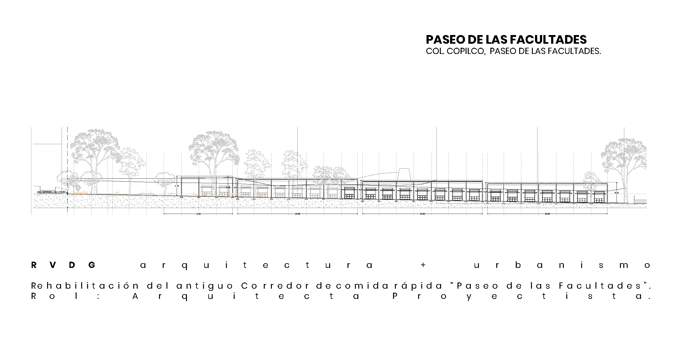 Mejoramiento Urbano // Paseo de la Facultades, CU.-0
