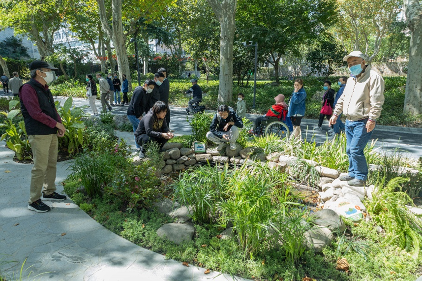 案例 | 上海首个在公园中的自然中心——和平公园自然中心-75