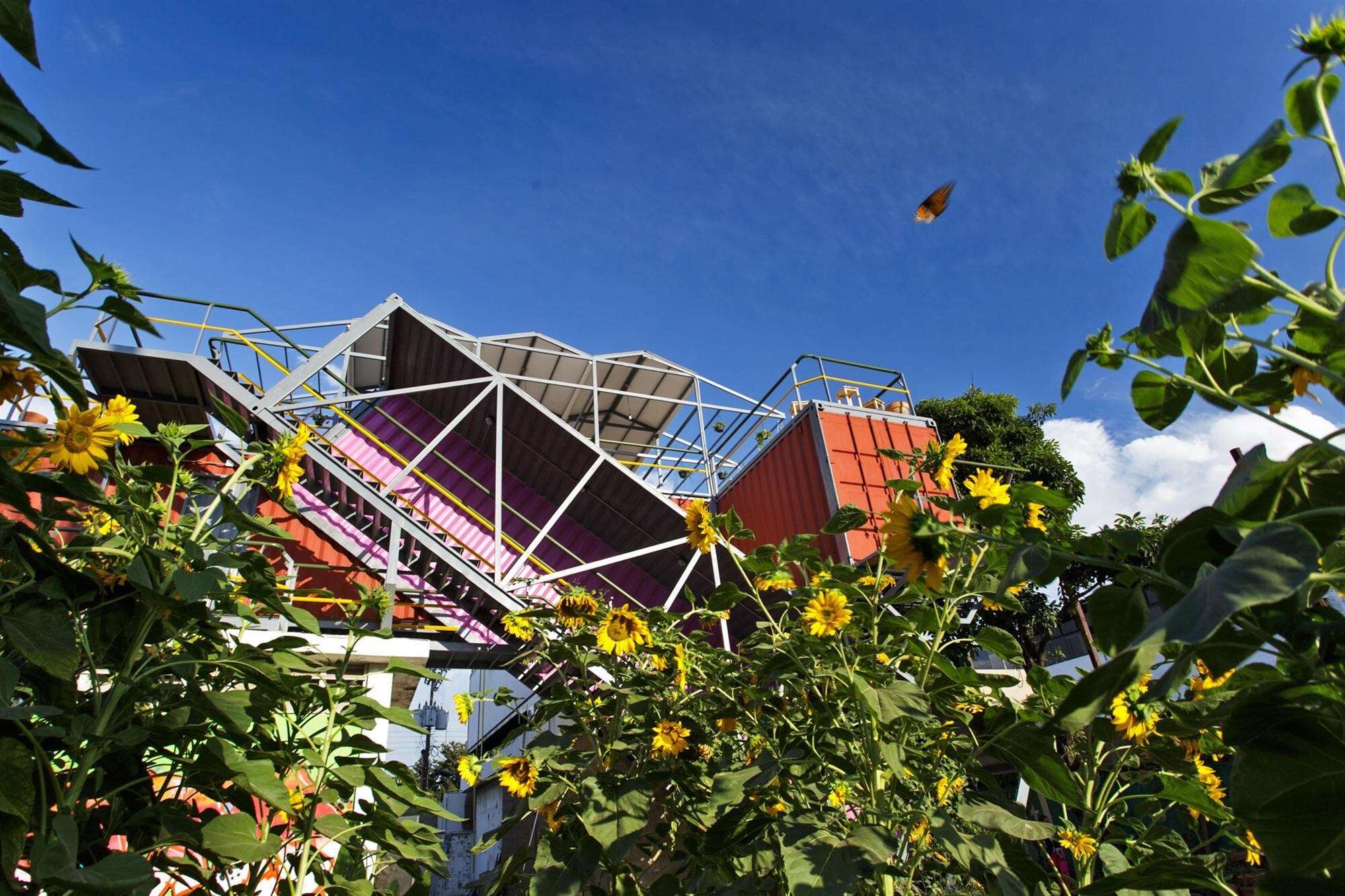 颠覆废墟的创意重生 · Venezuelan 文化生产区-12