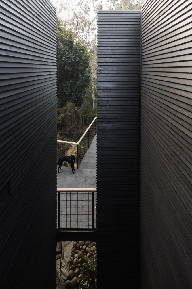 Redwood House  Jeff Svitak-38