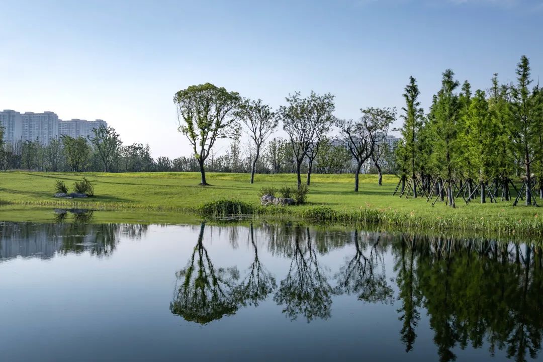 从繁华渔港到生态胜地，重构太湖周边生态面貌 | 太湖流域小溪港鱼咀公园-25
