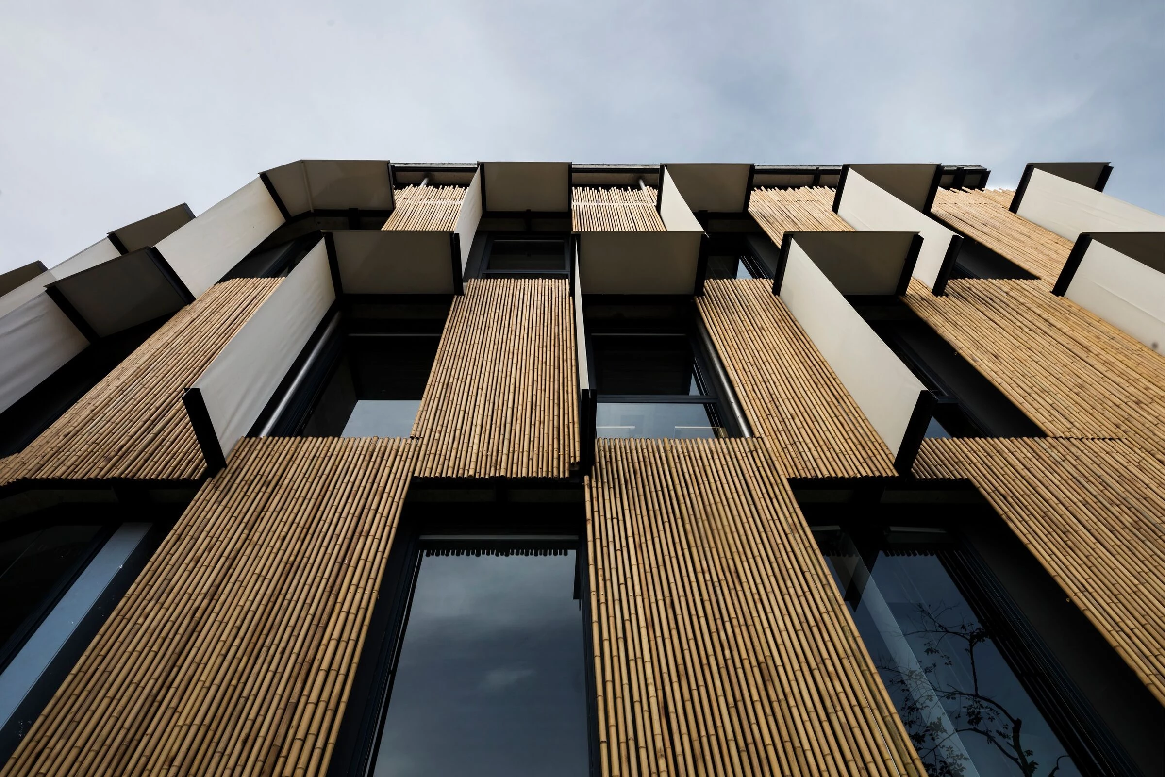 生物气候 Fle·iOffice丨越南胡志明市丨T3 Architects-16