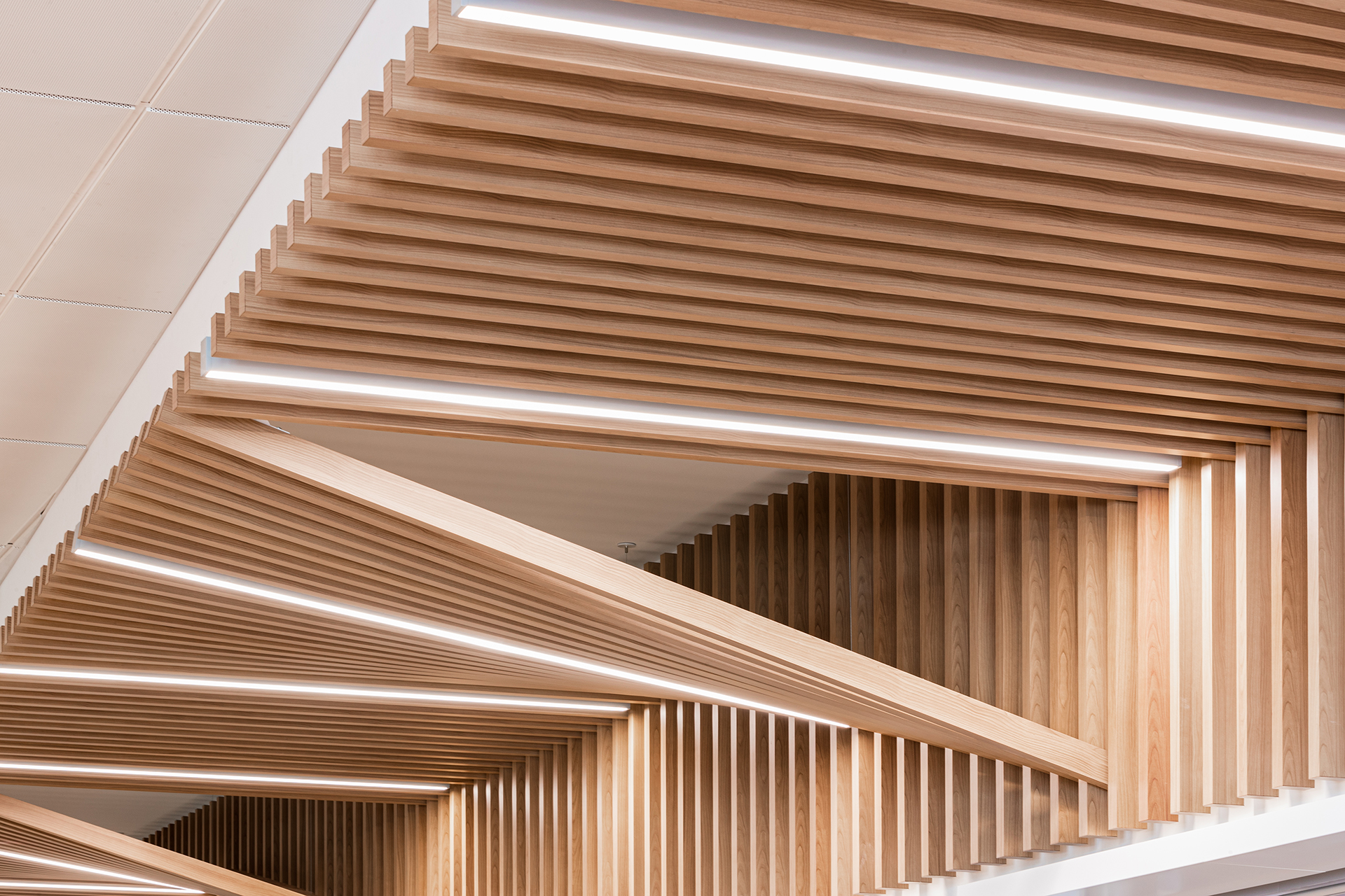 GTAA Domestic Canopy | Eventscape-2