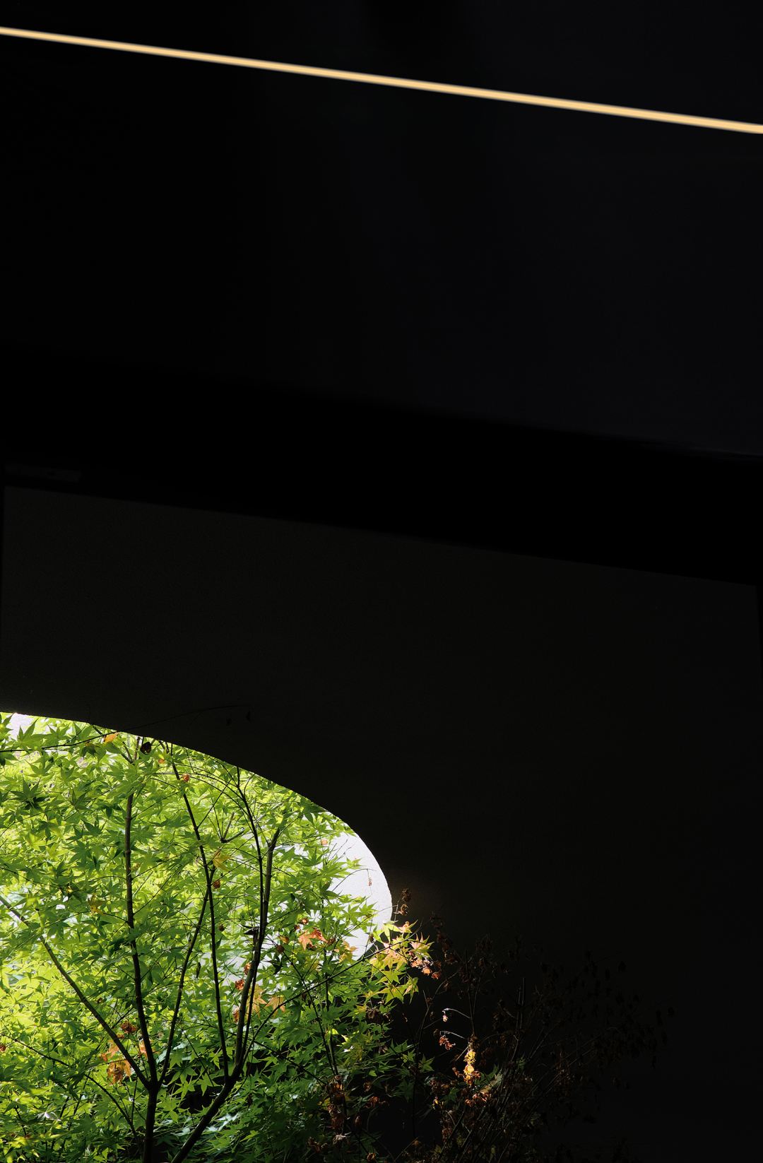 风化历史,重构未来丨大亦设计-21